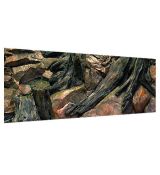 Akvarijné 3D pozadie 100x40cm KOREŇ