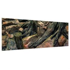 Akvarijné 3D pozadie 100x40cm KOREŇ