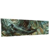 Akvarijné 3D pozadie 150x50cm AMAZON