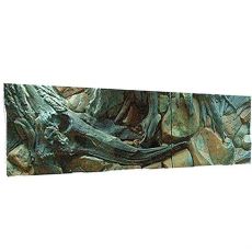 Akvarijné 3D pozadie 150x50cm AMAZON
